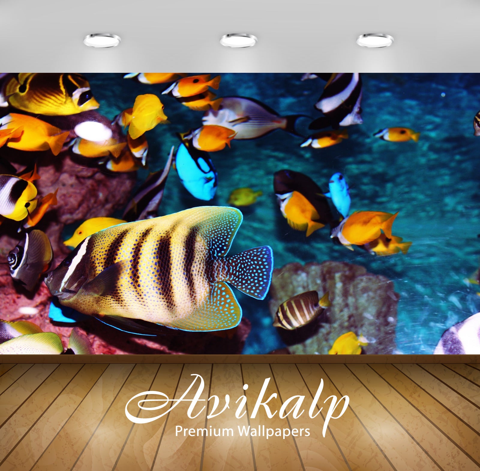 Avikalp Exclusive Tropical Fish AWI1242 HD Wallpapers for Living room, Hall, Kids Room, Kitchen, TV