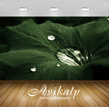 Avikalp Exclusive Water Drop On Leaf AWI1247 HD Wallpapers for Living room, Hall, Kids Room, Kitchen