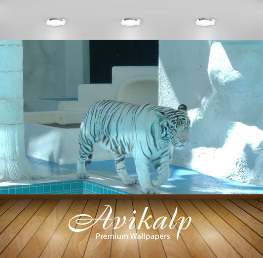 Avikalp Exclusive White Tiger AWI1253 HD Wallpapers for Living room, Hall, Kids Room, Kitchen, TV Ba