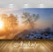 Avikalp Exclusive Winter Season AWI1255 HD Wallpapers for Living room, Hall, Kids Room, Kitchen, TV