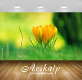 Avikalp Exclusive Awi1268 Tulip Full HD Wallpapers for Living room, Hall, Kids Room, Kitchen, TV Bac