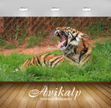 Avikalp Exclusive Awi1276 Tiger Roar Full HD Wallpapers for Living room, Hall, Kids Room, Kitchen, T