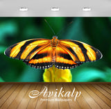 Avikalp Exclusive Awi1283 Butterfly Full HD Wallpapers for Living room, Hall, Kids Room, Kitchen, TV