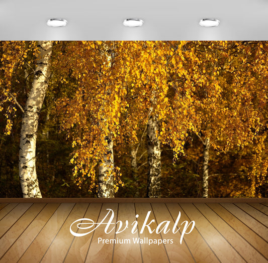 Avikalp Exclusive Awi1325 Autumn Full HD Wallpapers for Living room, Hall, Kids Room, Kitchen, TV Ba