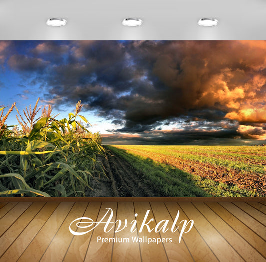 Avikalp Exclusive Awi1326 Farms Clouds Full HD Wallpapers for Living room, Hall, Kids Room, Kitchen,