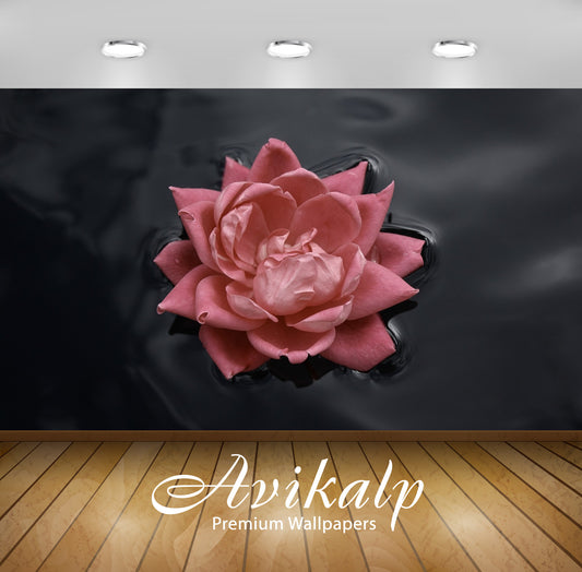 Avikalp Exclusive Awi1331 Beautiful Rose Full HD Wallpapers for Living room, Hall, Kids Room, Kitche