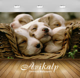 Avikalp Exclusive Awi1343 Cute Puppies Full HD Wallpapers for Living room, Hall, Kids Room, Kitchen,