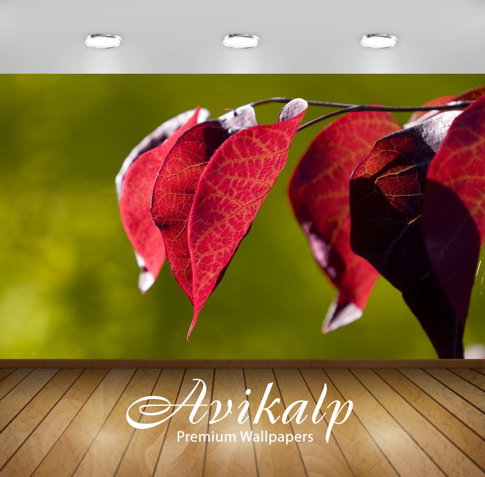 Avikalp Exclusive Awi1353 Red Leaves Full HD Wallpapers for Living room, Hall, Kids Room, Kitchen, T