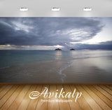 Avikalp Exclusive Premium hawaii HD Wallpapers for Living room, Hall, Kids Room, Kitchen, TV Backgro