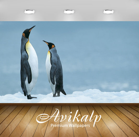 Avikalp Exclusive Awi1374 Penguins Full HD Wallpapers for Living room, Hall, Kids Room, Kitchen, TV