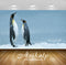 Avikalp Exclusive Awi1374 Penguins Full HD Wallpapers for Living room, Hall, Kids Room, Kitchen, TV