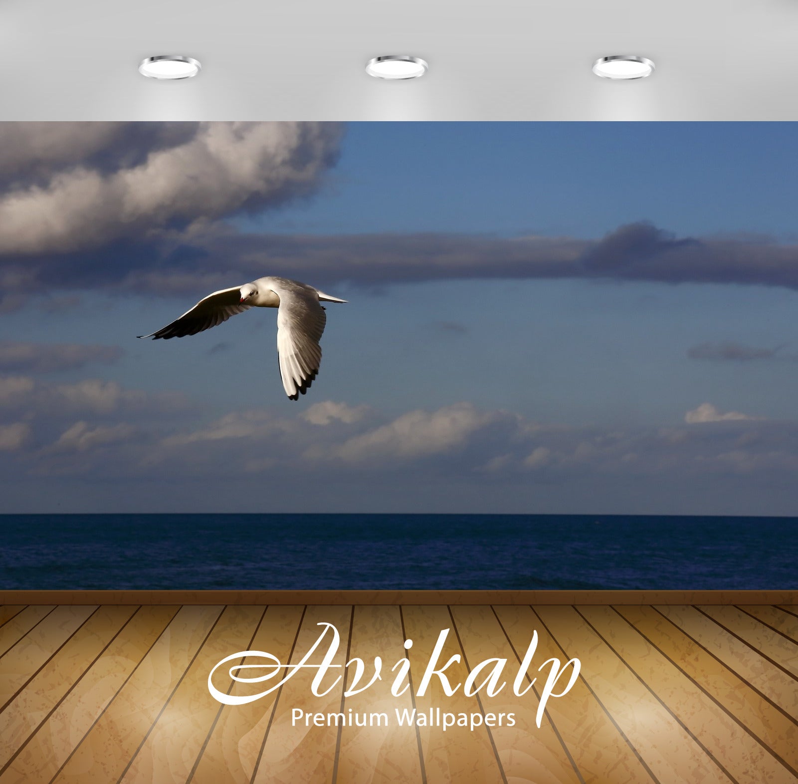 Avikalp Exclusive Awi1378 Birds Full HD Wallpapers for Living room, Hall, Kids Room, Kitchen, TV Bac