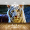 Avikalp Exclusive Awi1398 Tigers Full HD Wallpapers for Living room, Hall, Kids Room, Kitchen, TV Ba