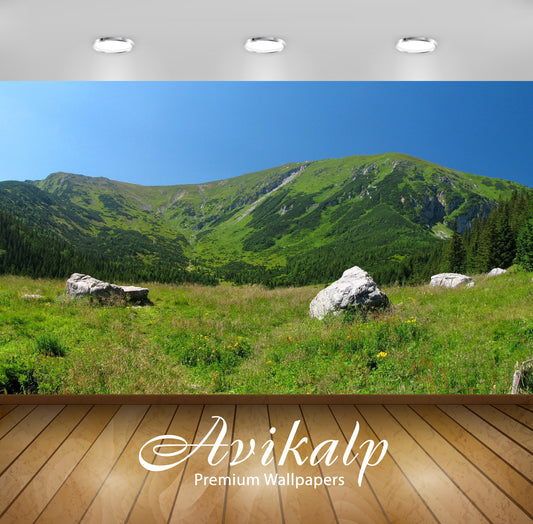 Avikalp Exclusive Awi1410 Nature Mountain Greenery Full HD Wallpapers for Living room, Hall, Kids Ro