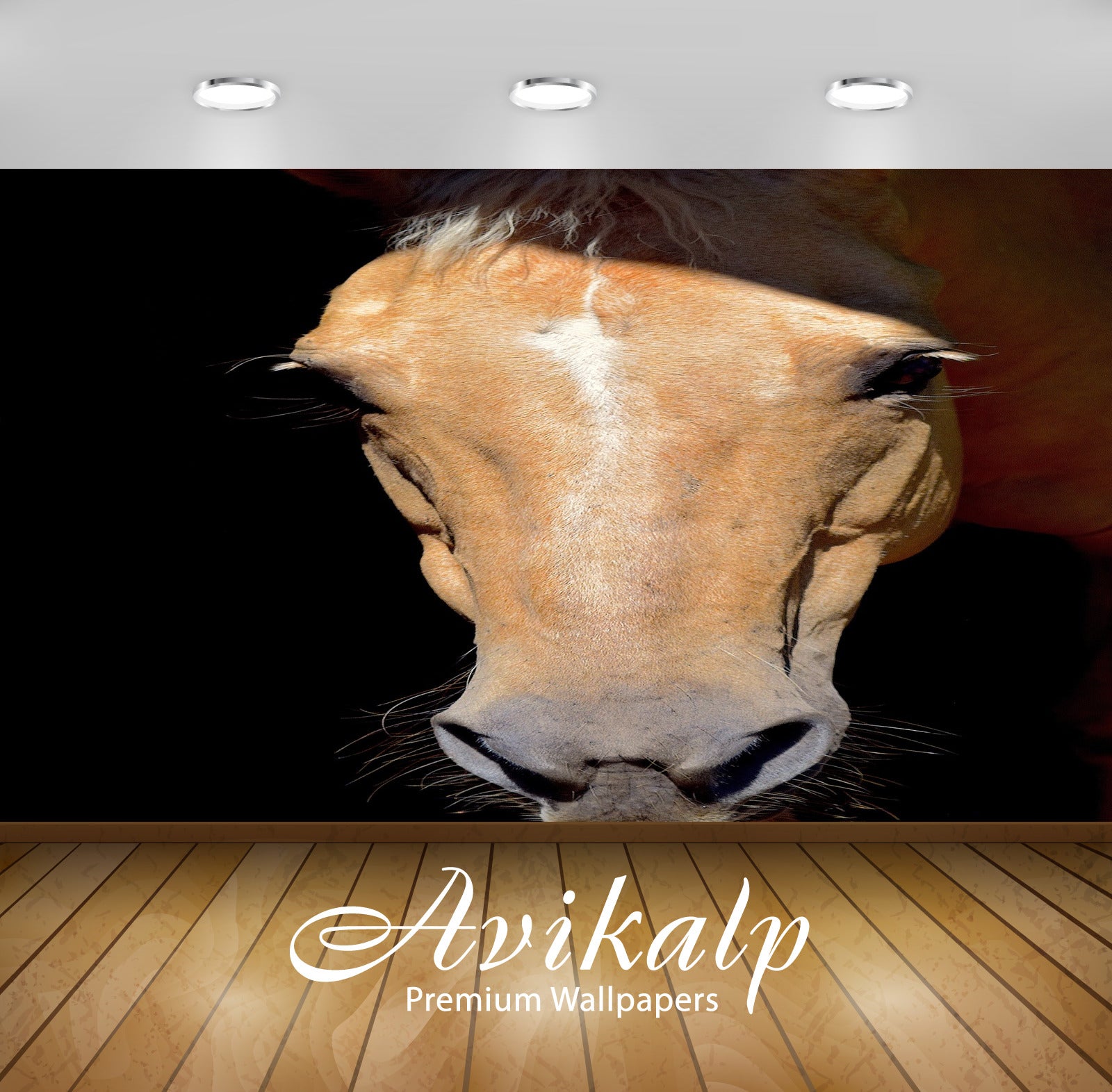 Avikalp Exclusive Premium horse HD Wallpapers for Living room, Hall, Kids Room, Kitchen, TV Backgrou