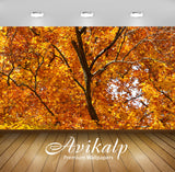 Avikalp Exclusive Awi1473 Beautiful Autumn Full HD Wallpapers for Living room, Hall, Kids Room, Kitc