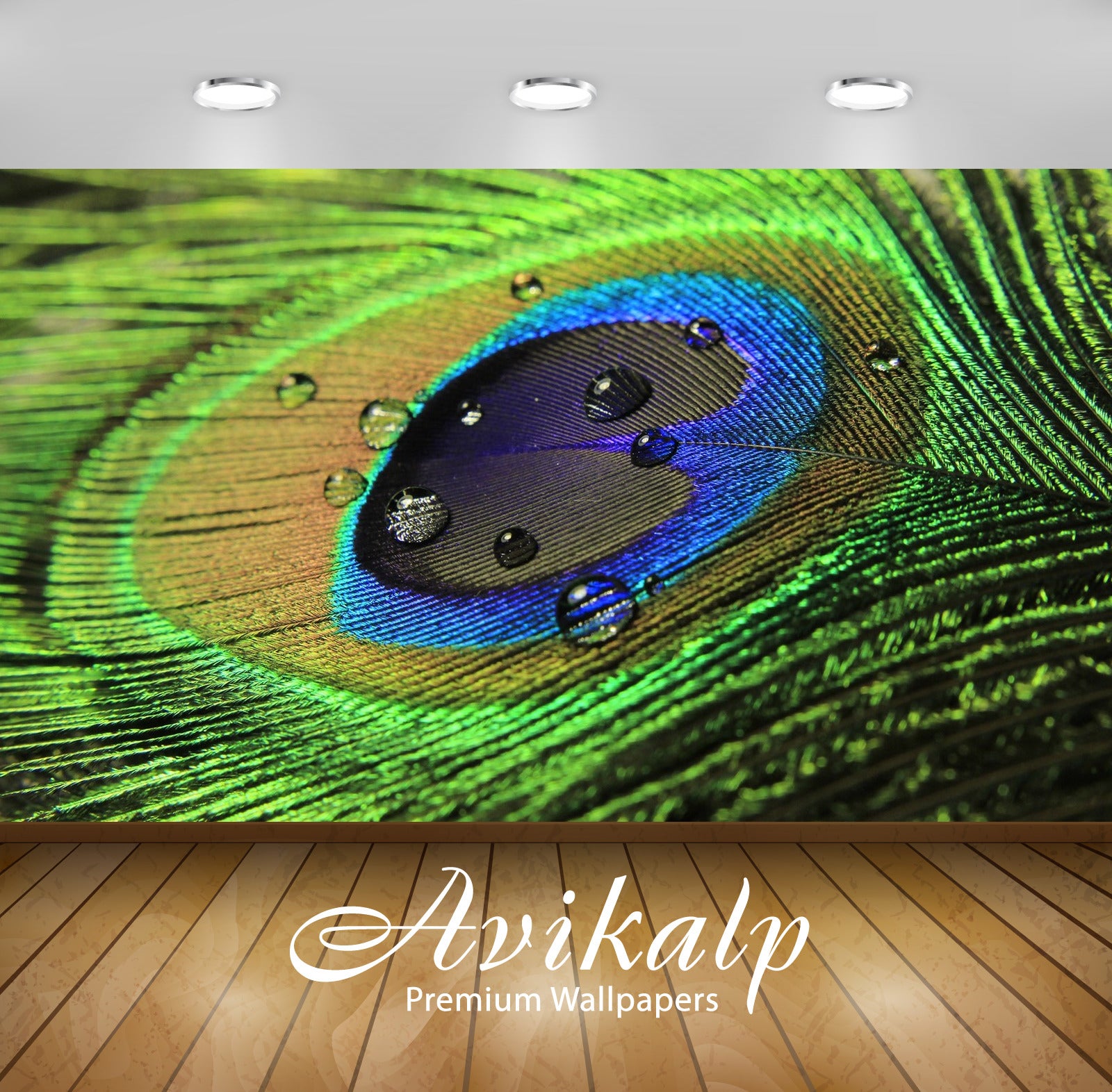 Avikalp Exclusive Awi1493 Beautiful Peacock Feather Full HD Wallpapers for Living room, Hall, Kids R