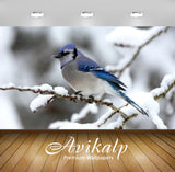 Avikalp Exclusive Awi1533 Beautiful Bird Full HD Wallpapers for Living room, Hall, Kids Room, Kitche