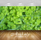 Avikalp Exclusive Awi1535 Green Leaves Full HD Wallpapers for Living room, Hall, Kids Room, Kitchen,