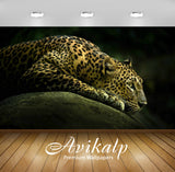 Avikalp Exclusive Awi1536 Tiger Full HD Wallpapers for Living room, Hall, Kids Room, Kitchen, TV Bac