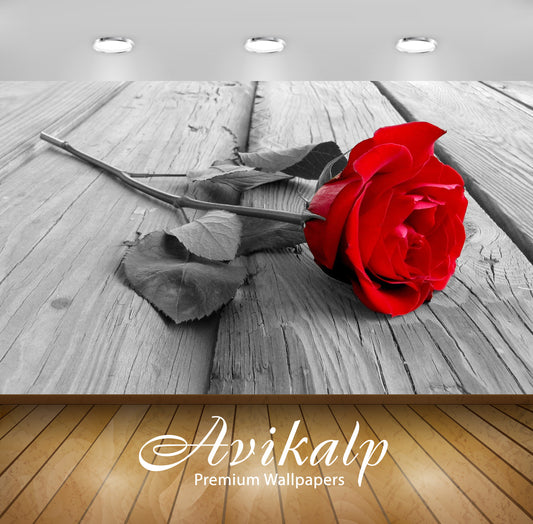 Avikalp Exclusive Awi1538 Beautiful Rose Full HD Wallpapers for Living room, Hall, Kids Room, Kitche
