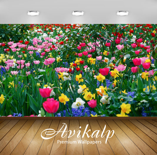 Avikalp Exclusive Awi1560 Beautiful Flowers Full HD Wallpapers for Living room, Hall, Kids Room, Kit