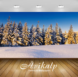Avikalp Exclusive Awi1569 Beautiful Snowy Trees Full HD Wallpapers for Living room, Hall, Kids Room,