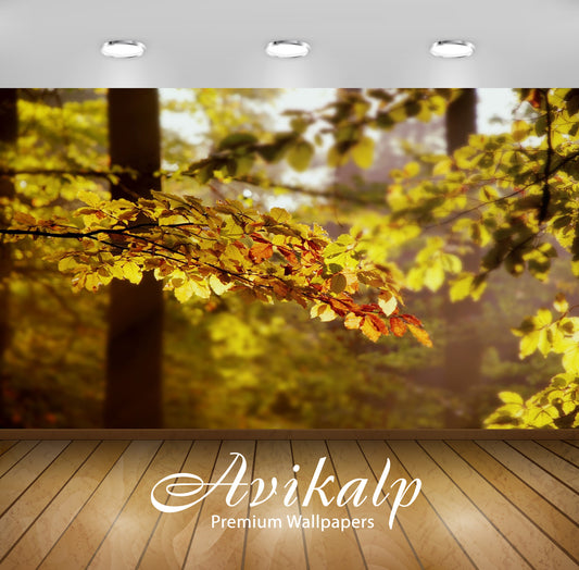 Avikalp Exclusive Awi1611 Beautiful Leaves Scenery Full HD Wallpapers for Living room, Hall, Kids Ro