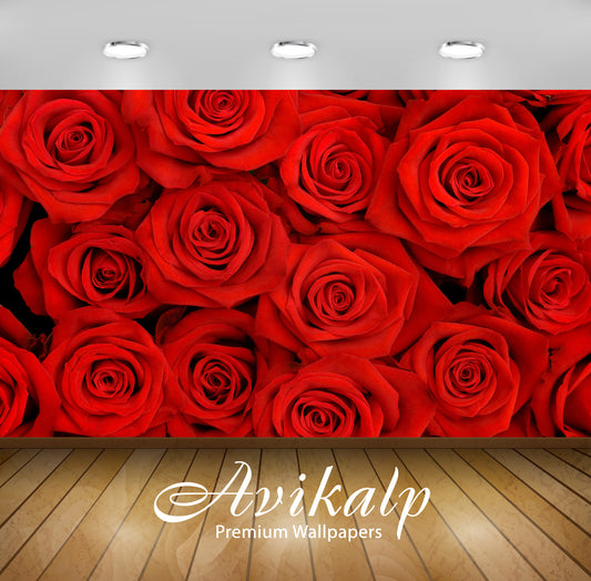 Avikalp Exclusive Awi1619 Beautiful Roses Full HD Wallpapers for Living room, Hall, Kids Room, Kitch