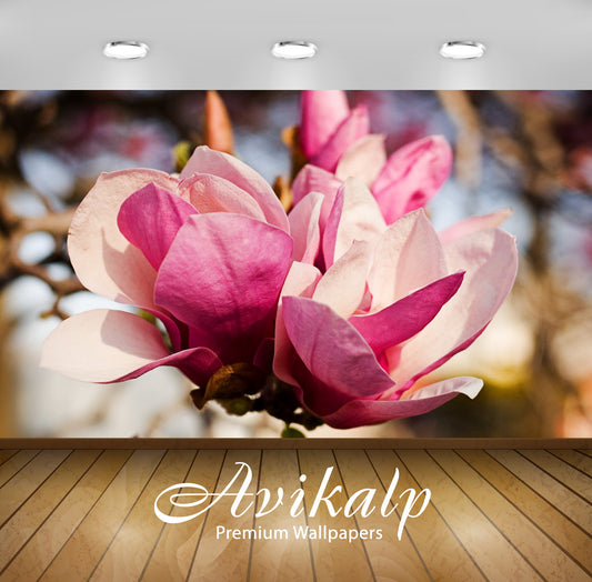 Avikalp Exclusive Awi1657 Beautiful Flowers Full HD Wallpapers for Living room, Hall, Kids Room, Kit