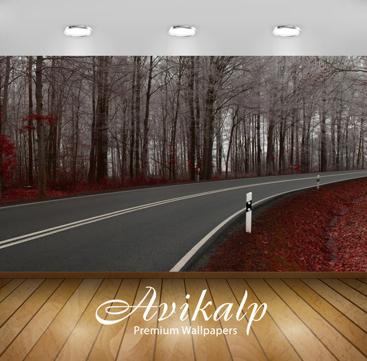 Avikalp Exclusive Awi1672 Beautiful Road Scenery Full HD Wallpapers for Living room, Hall, Kids Room