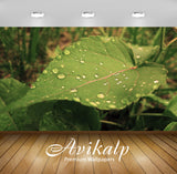 Avikalp Exclusive Awi1686 Beautiful Leaf Full HD Wallpapers for Living room, Hall, Kids Room, Kitche