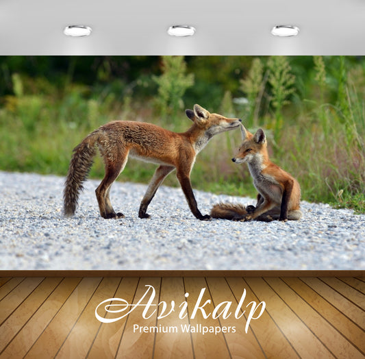 Avikalp Exclusive Awi1794 Fox Full HD Wallpapers for Living room, Hall, Kids Room, Kitchen, TV Backg