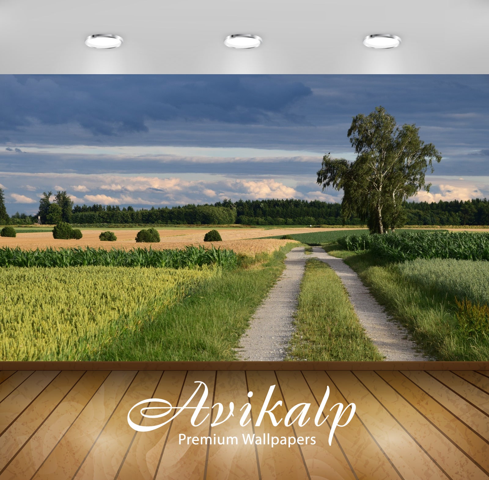 Avikalp Exclusive Premium landscape HD Wallpapers for Living room, Hall, Kids Room, Kitchen, TV Back