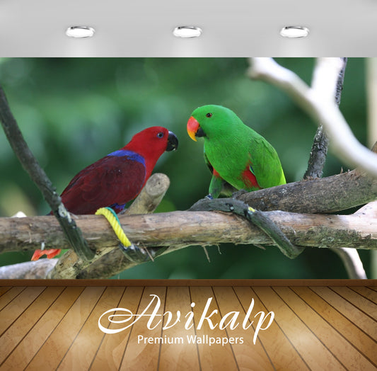 Avikalp Exclusive Awi1912 Birds Full HD Wallpapers for Living room, Hall, Kids Room, Kitchen, TV Bac