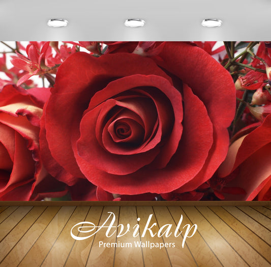 Avikalp Exclusive Awi1917 Beautiful Rose Flower Full HD Wallpapers for Living room, Hall, Kids Room,