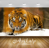 Avikalp Exclusive Awi1918 Tiger Full HD Wallpapers for Living room, Hall, Kids Room, Kitchen, TV Bac