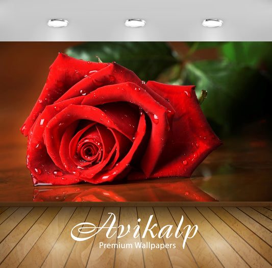 Avikalp Exclusive Awi1926 Rose Flower Beauty Full HD Wallpapers for Living room, Hall, Kids Room, Ki
