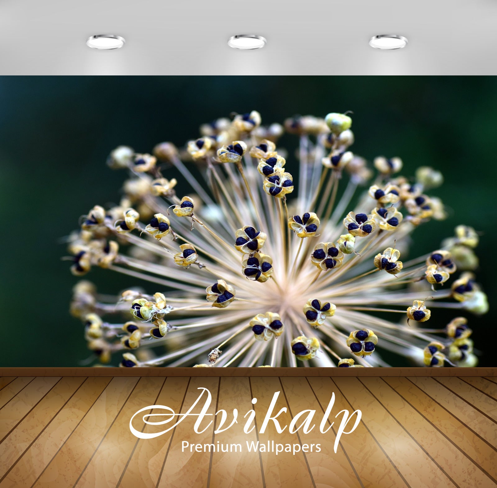 Avikalp Exclusive Premium leek HD Wallpapers for Living room, Hall, Kids Room, Kitchen, TV Backgroun