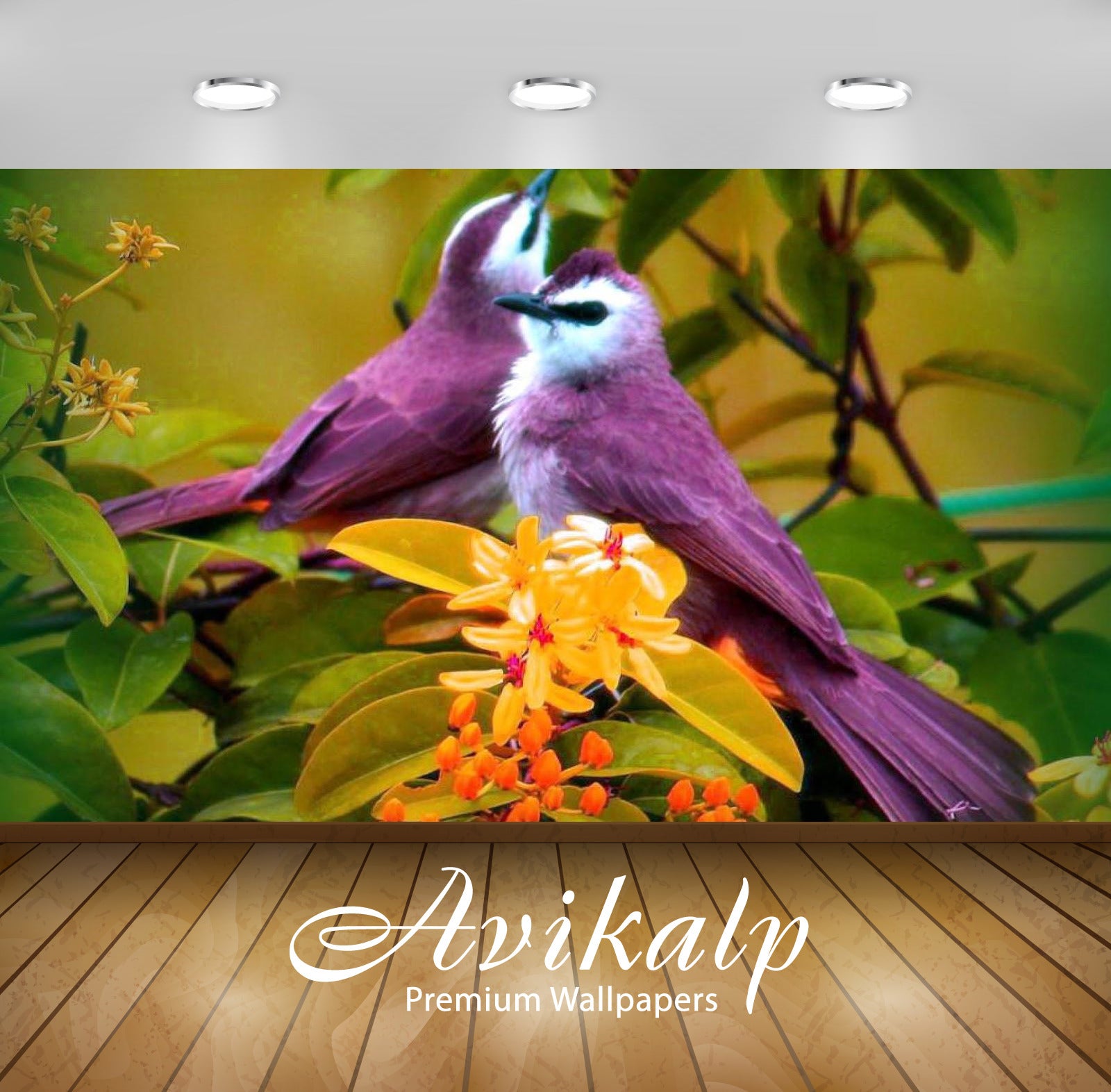 Avikalp Exclusive Awi1949 Beautiful Birds Full HD Wallpapers for Living room, Hall, Kids Room, Kitch