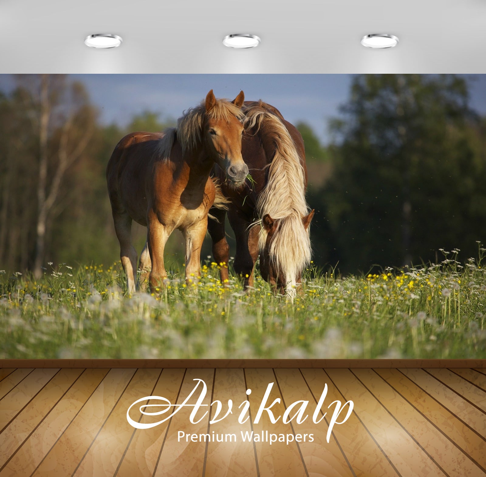 Avikalp Exclusive Awi1951 Horse Full HD Wallpapers for Living room, Hall, Kids Room, Kitchen, TV Bac
