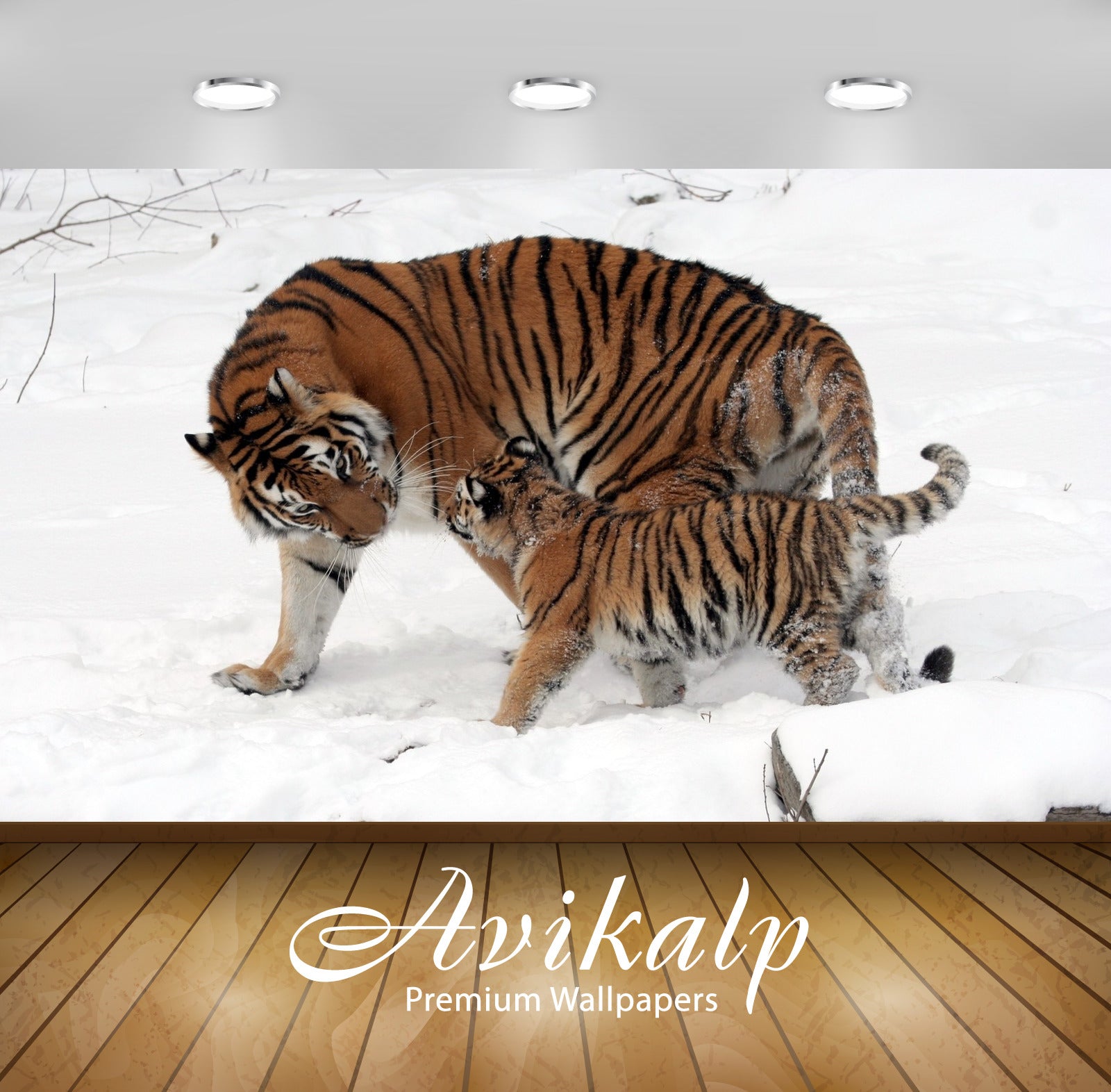 Avikalp Exclusive Awi1952 Siberian Tiger With Cubs Full HD Wallpapers for Living room, Hall, Kids Ro