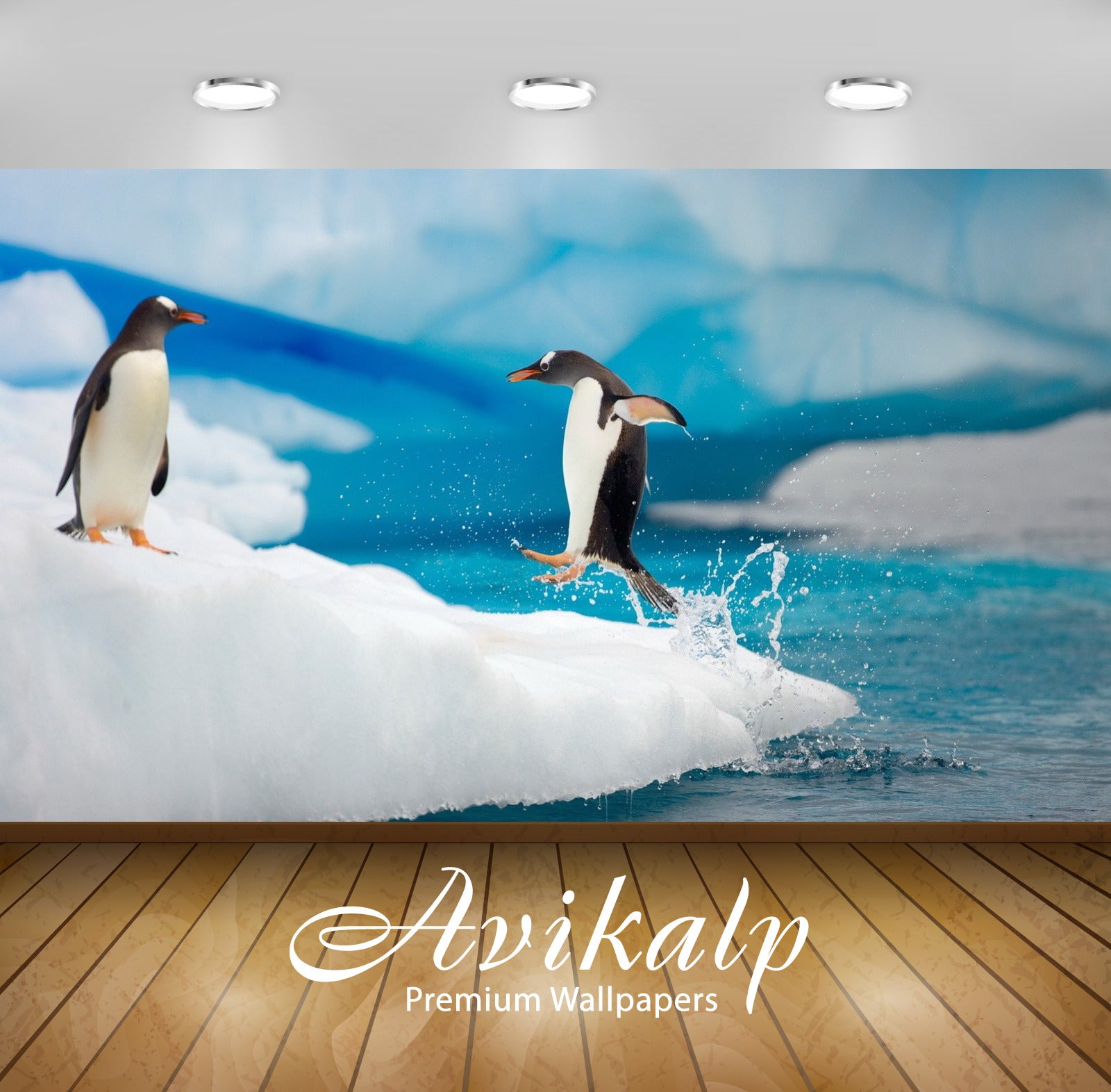 Avikalp Exclusive Awi1955 Penguins Playing Full HD Wallpapers for Living room, Hall, Kids Room, Kitc