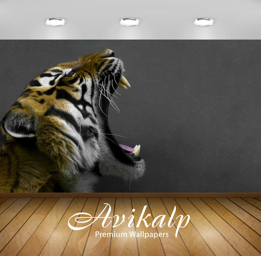 Avikalp Exclusive Awi1961 Tiger Roar Full HD Wallpapers for Living room, Hall, Kids Room, Kitchen, T
