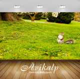 Avikalp Exclusive Premium london HD Wallpapers for Living room, Hall, Kids Room, Kitchen, TV Backgro