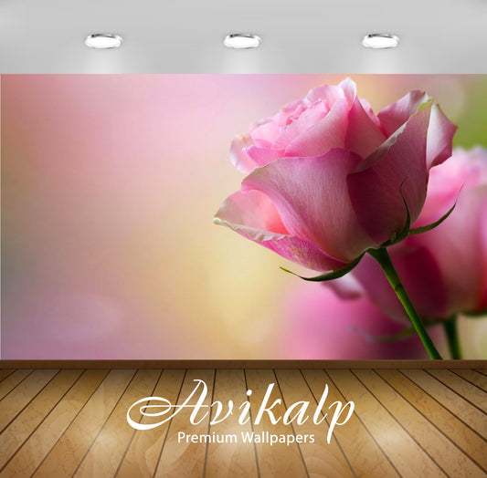 Avikalp Exclusive Awi2037 Beautiful Pink Rose  Full HD Wallpapers for Living room, Hall, Kids Room,