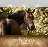 Avikalp Exclusive Awi2040 Brown Horse  Full HD Wallpapers for Living room, Hall, Kids Room, Kitchen,
