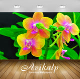 Avikalp Exclusive Awi2111 Orchids Close Up Orange And Red Flower Petals  Full HD Wallpapers for Livi