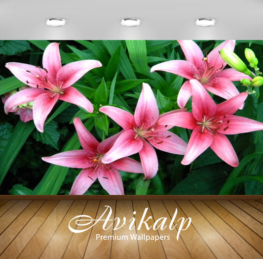 Avikalp Exclusive Awi2125 Pink Krin Spring Flowers  Full HD Wallpapers for Living room, Hall, Kids R