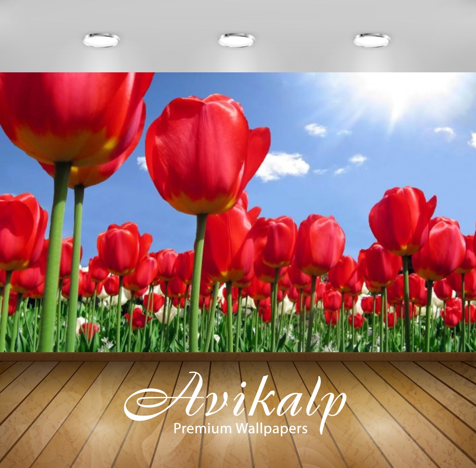 Avikalp Exclusive Awi2148 Spring Flowers Field With Red Tulips And Blue Sky Sunlight  Full HD Wallpa